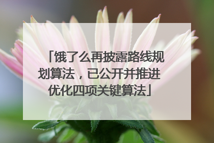饿了么再披露路线规划算法，已公开并推进优化四项关键算法