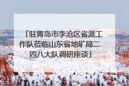 驻青岛市李沧区省派工作队莅临山东省地矿局二四八大队调研座谈