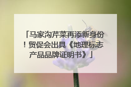 马家沟芹菜再添新身份！贸促会出具《地理标志产品品牌证明书》