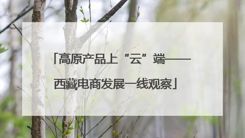 高原产品上“云”端——西藏电商发展一线观察