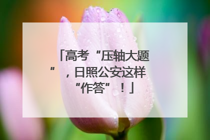 高考“压轴大题”，日照公安这样“作答”！