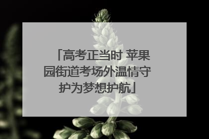 高考正当时 苹果园街道考场外温情守护为梦想护航