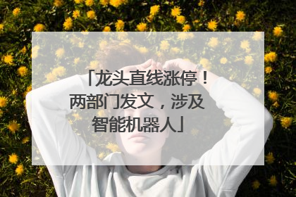 龙头直线涨停！两部门发文，涉及智能机器人
