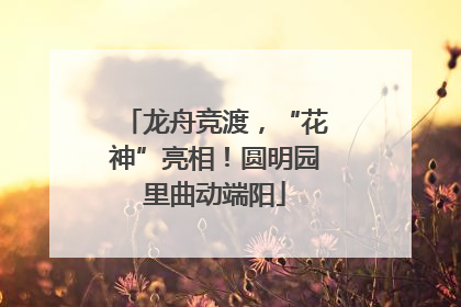 龙舟竞渡，“花神”亮相！圆明园里曲动端阳