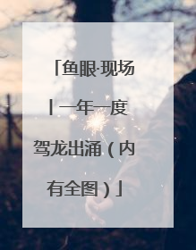 鱼眼·现场丨一年一度 驾龙出涌（内有全图）