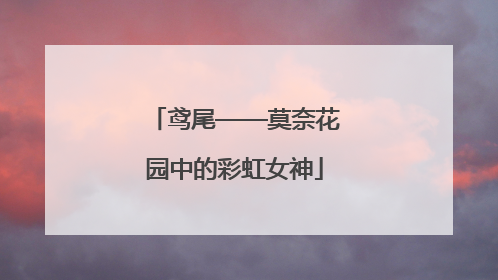鸢尾——莫奈花园中的彩虹女神