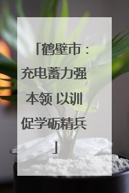 鹤壁市：充电蓄力强本领 以训促学砺精兵