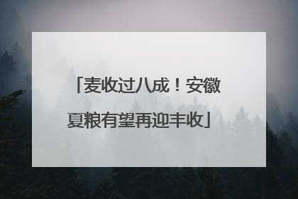 麦收过八成！安徽夏粮有望再迎丰收