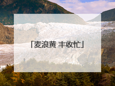 麦浪黄 丰收忙