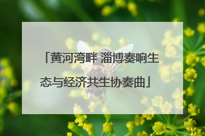 黄河湾畔 淄博奏响生态与经济共生协奏曲