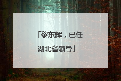 黎东辉，已任湖北省领导