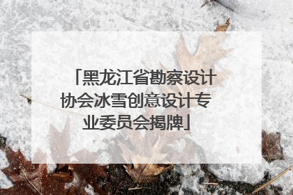 黑龙江省勘察设计协会冰雪创意设计专业委员会揭牌