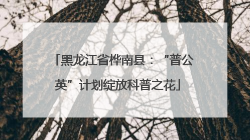 黑龙江省桦南县：“普公英”计划绽放科普之花