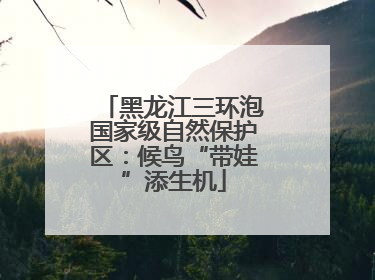 黑龙江三环泡国家级自然保护区：候鸟“带娃”添生机