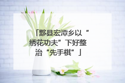 黟县宏潭乡以“绣花功夫”下好整治“先手棋”