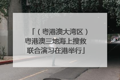 （粤港澳大湾区）粤港澳三地海上搜救联合演习在港举行