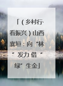 （乡村行·看振兴）山西襄垣：向“林”发力 借“绿”生金