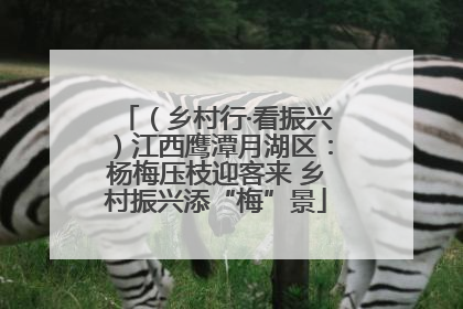 （乡村行·看振兴）江西鹰潭月湖区：杨梅压枝迎客来 乡村振兴添“梅”景