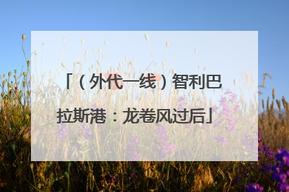 （外代一线）智利巴拉斯港：龙卷风过后