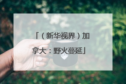 （新华视界）加拿大：野火蔓延