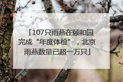107只雨燕在颐和园完成“年度体检”，北京雨燕数量已超一万只