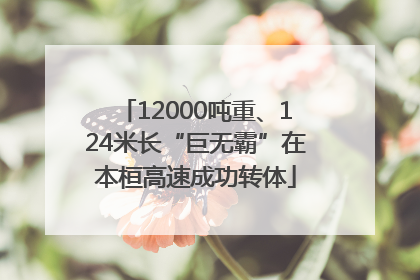 12000吨重、124米长“巨无霸”在本桓高速成功转体