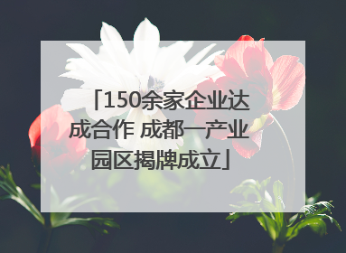 150余家企业达成合作 成都一产业园区揭牌成立