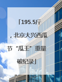 195.5斤，北京大兴西瓜节“瓜王”重量破纪录