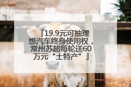 19.9元可抽理想汽车终身使用权，常州苏超每轮送60万元“土特产”
