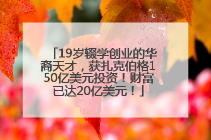 19岁辍学创业的华裔天才，获扎克伯格150亿美元投资！财富已达20亿美元！