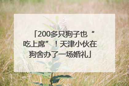 200多只狗子也“吃上席”！天津小伙在狗舍办了一场婚礼