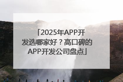 2025年APP开发选哪家好？高口碑的APP开发公司盘点