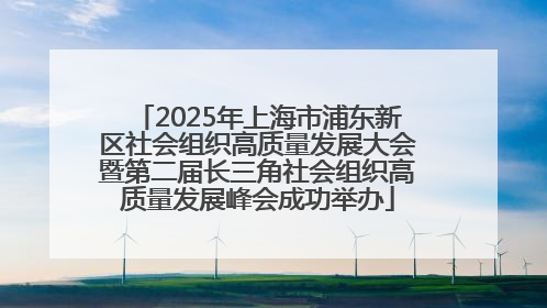 2025年上海市浦东新区社会组织高质量发展大会暨第二届长三角社会组织高质量发展峰会成功举办
