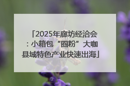 2025年廊坊经洽会：小箱包“圈粉”大咖 县域特色产业快速出海