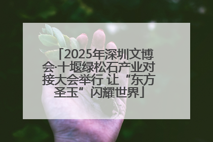2025年深圳文博会·十堰绿松石产业对接大会举行 让“东方圣玉”闪耀世界