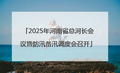 2025年河南省总河长会议暨防汛备汛调度会召开