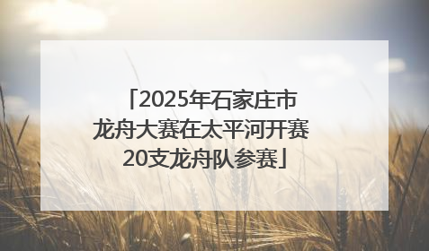 2025年石家庄市龙舟大赛在太平河开赛 20支龙舟队参赛