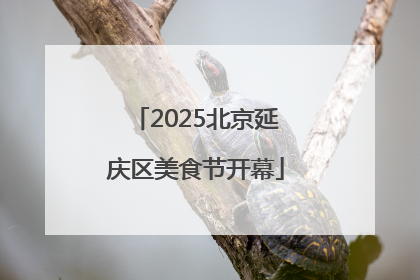 2025北京延庆区美食节开幕