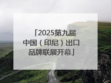 2025第九届中国（印尼）出口品牌联展开幕