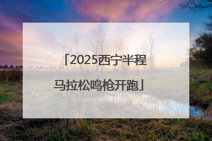 2025西宁半程马拉松鸣枪开跑