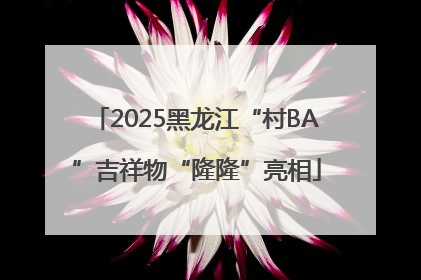 2025黑龙江“村BA”吉祥物“隆隆”亮相
