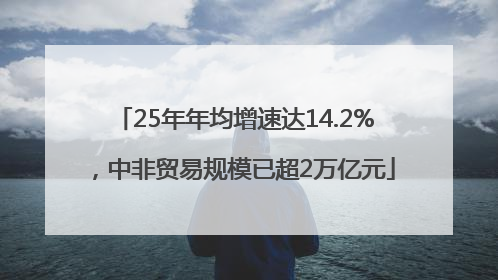25年年均增速达14.2%，中非贸易规模已超2万亿元