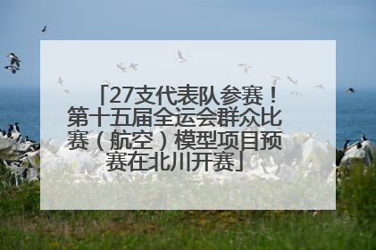 27支代表队参赛！第十五届全运会群众比赛（航空）模型项目预赛在北川开赛