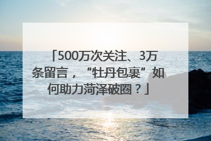 500万次关注、3万条留言，“牡丹包裹”如何助力菏泽破圈？