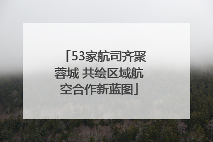 53家航司齐聚蓉城 共绘区域航空合作新蓝图