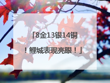 8金13银14铜！鲤城表现亮眼！