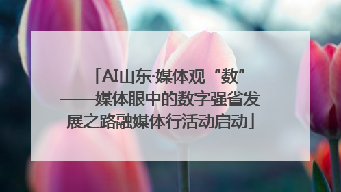 AI山东·媒体观“数”——媒体眼中的数字强省发展之路融媒体行活动启动