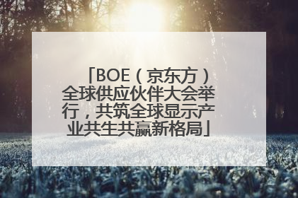 BOE（京东方）全球供应伙伴大会举行，共筑全球显示产业共生共赢新格局