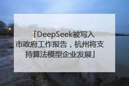 DeepSeek被写入市政府工作报告，杭州将支持算法模型企业发展