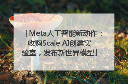 Meta人工智能新动作：收购Scale AI创建实验室，发布新世界模型